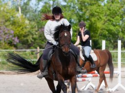 IMG_0503_web